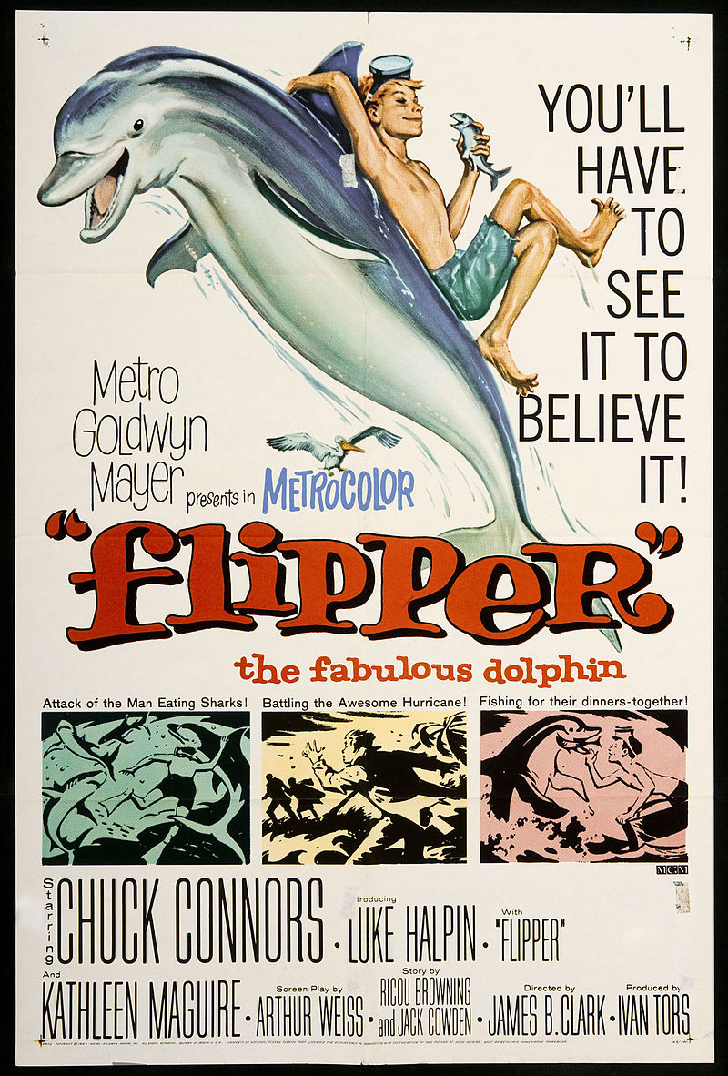 800px-Flipper_1963_movie_poster